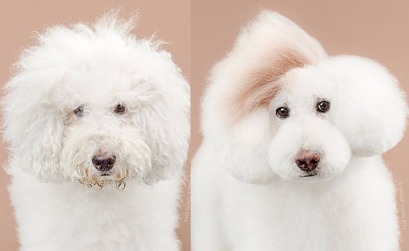 Antes e Depois Tosa 1